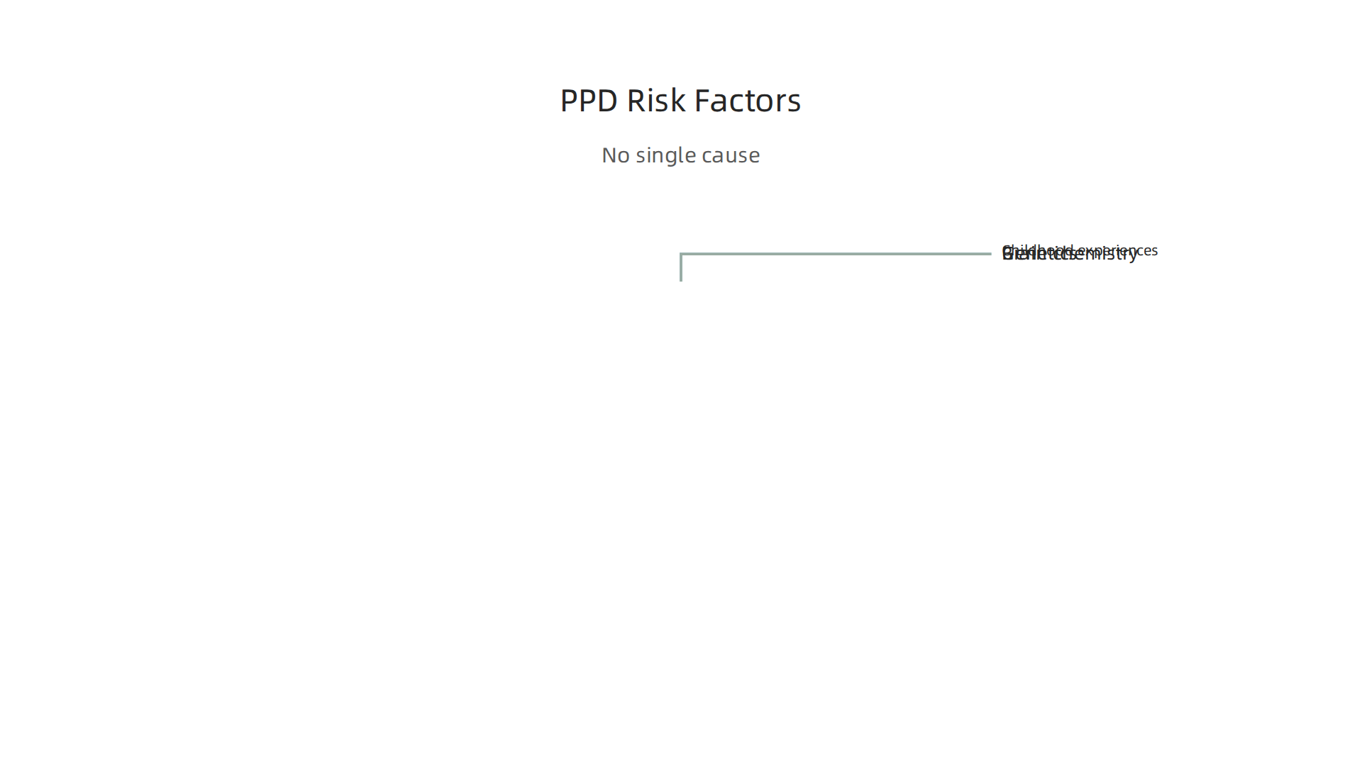 Key factors contributing to the development of Paranoid Personality Disorder.