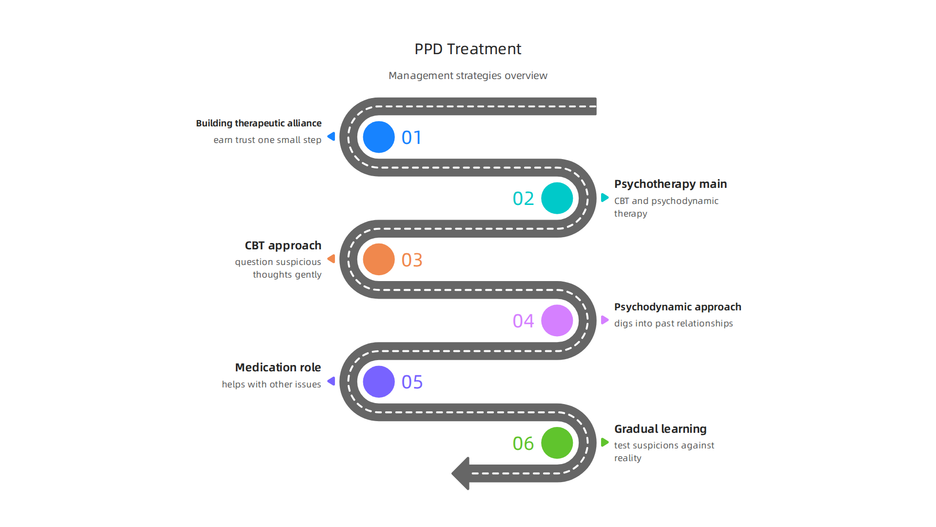 An overview of the main treatment approaches and management strategies for PPD.