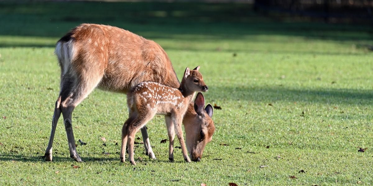 A parent offering calm reassurance to their child, demonstrating a secure and understanding bond.