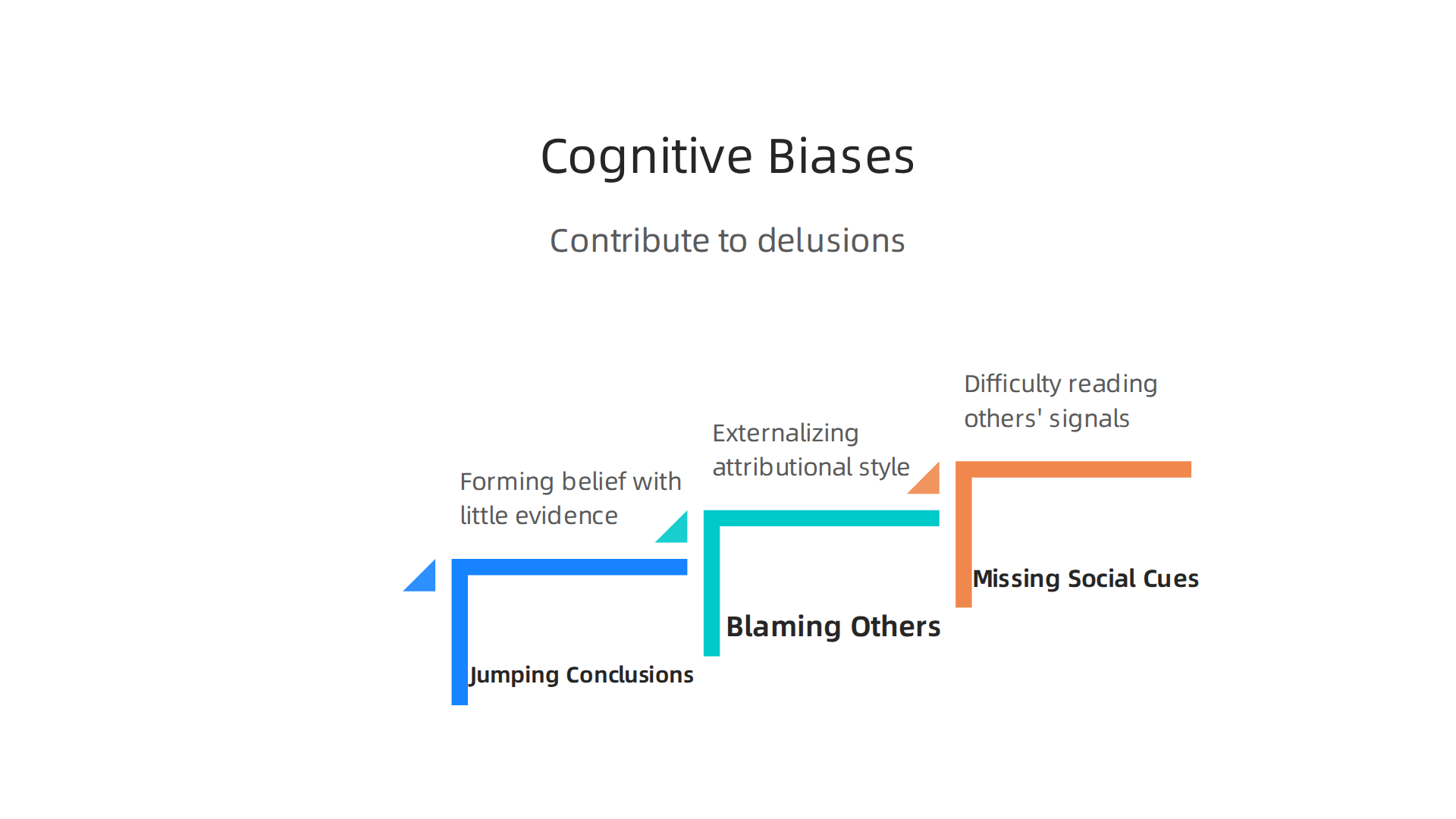 An infographic detailing common cognitive biases that contribute to the formation and maintenance of delusional beliefs.